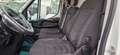 Iveco Daily 35S17 FRIGO ATP - 3.0 MJT 170 CV PASSO 3520 -EU 6 Blanc - thumbnail 14
