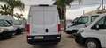 Iveco Daily 35S17 FRIGO ATP - 3.0 MJT 170 CV PASSO 3520 -EU 6 Blanc - thumbnail 4
