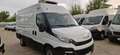 Iveco Daily 35S17 FRIGO ATP - 3.0 MJT 170 CV PASSO 3520 -EU 6 Blanc - thumbnail 6