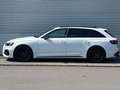 Audi RS4 +WINTERRÄDER+DSC FAHRWERK+HUD+ Blanc - thumbnail 4