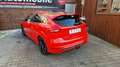 Ford Focus ST Line Lim. Sport, AHK, SHZ, Tempomat Rot - thumbnail 6