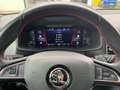 Skoda Kodiaq RS 2.0 Bi-TDI 4WD ACC PDC KAM360 DAB Blu/Azzurro - thumbnail 12