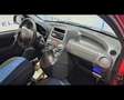 Fiat Panda 1.2  Dynamic Rosso - thumbnail 11