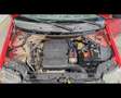 Fiat Panda 1.2  Dynamic Rosso - thumbnail 35