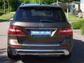 Mercedes-Benz GLE 350 A.M.G. Styling Airmatic D BlueTEC Beige - thumbnail 13