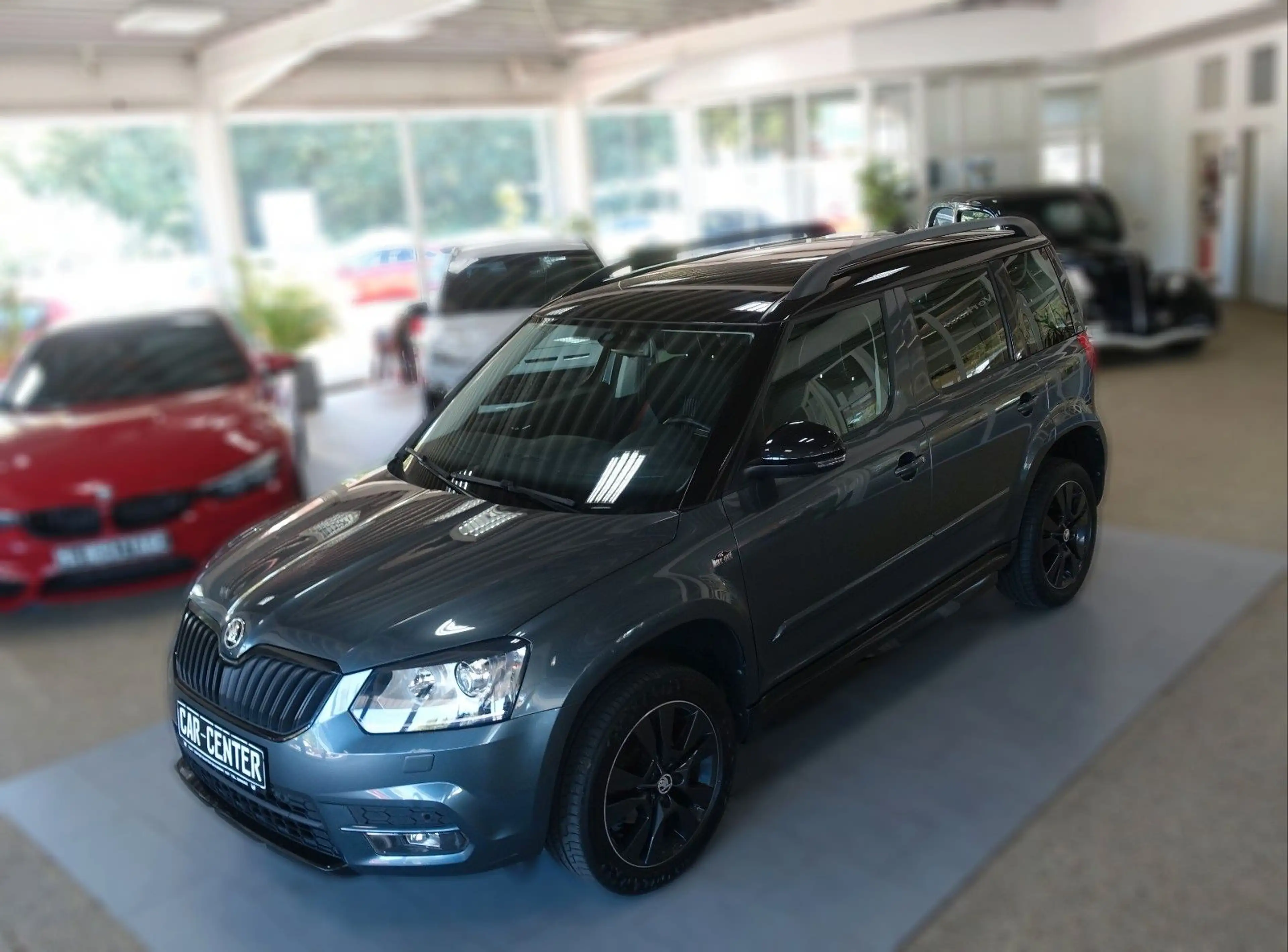 Skoda Yeti Monte Carlo; XEN/ AAC/ SHZ/ AHKv/ PDC/ 1HD — photo 8