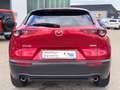 Mazda CX-3 0 Selection 2WD Rot - thumbnail 6