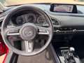 Mazda CX-3 0 Selection 2WD Rot - thumbnail 22