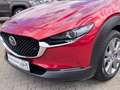 Mazda CX-3 0 Selection 2WD Rot - thumbnail 10