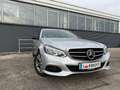 Mercedes-Benz E 220 CDI T Avantgarde Plus Aut. Grau - thumbnail 7