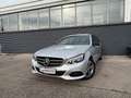 Mercedes-Benz E 220 CDI T Avantgarde Plus Aut. Grau - thumbnail 4