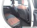 Volkswagen Touareg 3.0 V6 TDI R-Line Navi Pano AHK ACC PDC Weiß - thumbnail 8