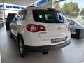 Volkswagen Tiguan 2.0TDI Sport Blanco - thumbnail 7