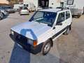 Fiat Panda 1ª serie 1100 i.e. cat 4x4 Trekking Bianco - thumbnail 1