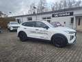 GWM HAVAL Jolion Pro HAVAL JolionPro HAVAL Jolion Pro LUXURY AT 5 Jah Weiß - thumbnail 4