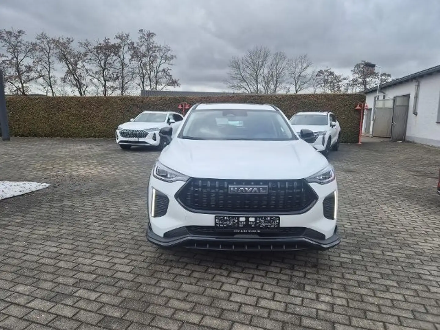 GWM HAVAL Jolion Pro HAVAL JolionPro HAVAL Jolion Pro LUXURY AT 5 Jah Weiß - 2