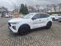 GWM HAVAL Jolion Pro HAVAL JolionPro HAVAL Jolion Pro LUXURY AT 5 Jah Weiß - thumbnail 9