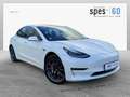 Tesla Model 3 AWD Performance Weiß - thumbnail 1