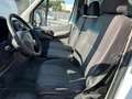 Mercedes-Benz Sprinter CASSONE 370cm CON SPONDA IDRAULICA 750kg Blanc - thumbnail 8