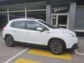 Peugeot 2008 Active PT 82 Weiß - thumbnail 16
