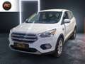 Ford Kuga 2.0TDCI Auto S&S Titanium 4x4 150 Wit - thumbnail 1