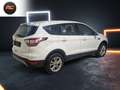 Ford Kuga 2.0TDCI Auto S&S Titanium 4x4 150 Wit - thumbnail 38
