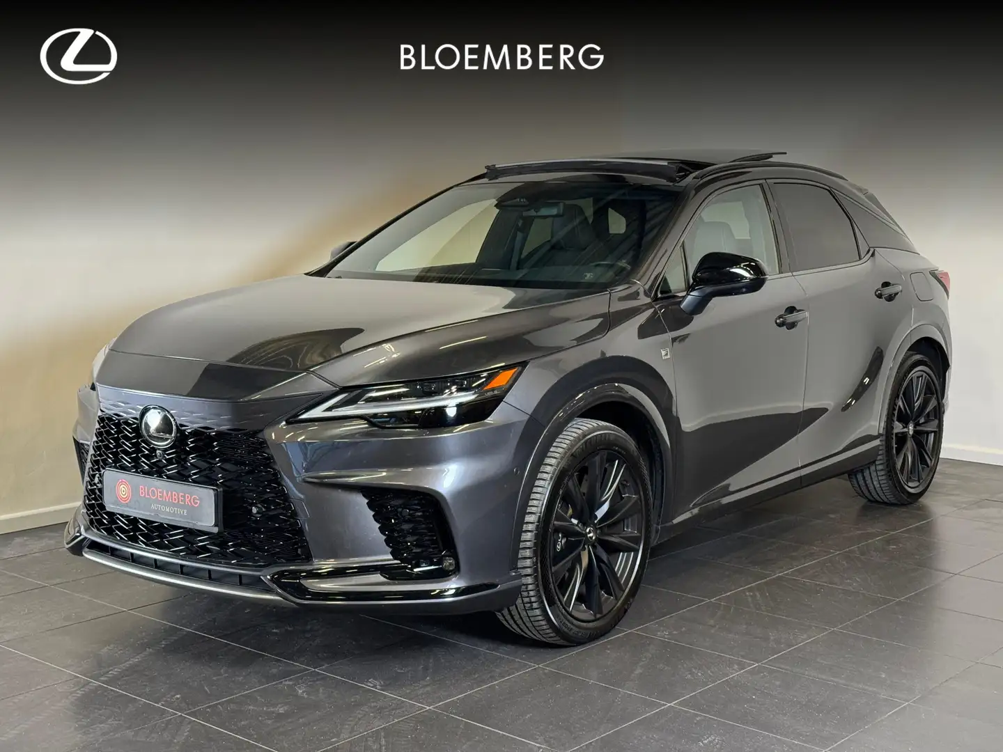 Lexus RX 500h F Sport Line Schuifdak | Mark Levinson Cas t/m 13- Grau - 1