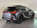 Lexus RX 500h F Sport Line Schuifdak | Mark Levinson Cas t/m 13- Grau - thumbnail 5