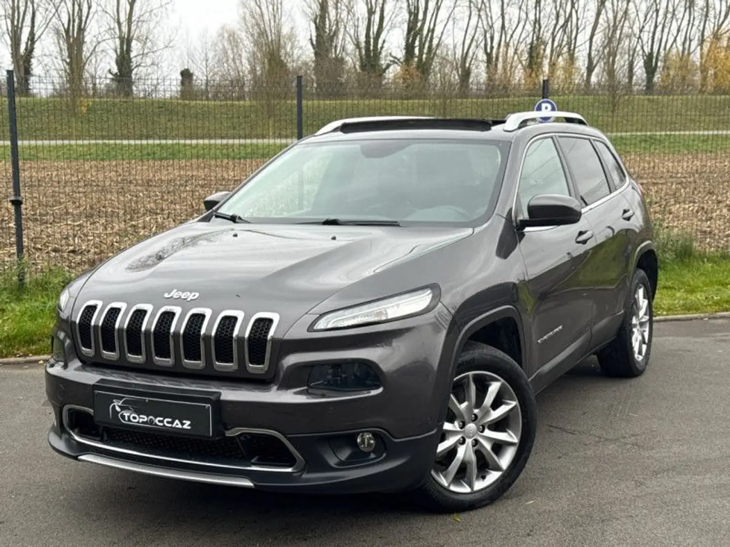 Jeep Cherokee 2.0 MULTIJET 140CH LIMITED * TOIT OUVRANT * GPS * CUIR * GARANTIE Gris - 1
