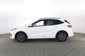 Ford Kuga 2.0 EcoBlue Hybrid 150CV 2WD ST-Line Bianco - thumbnail 6