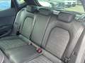 SEAT Ibiza IBIZA XCELLENCE 1.0 TSI GAR.-11/28*SHZ FULL-LINK Noir - thumbnail 11