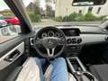 Mercedes-Benz GLK 200 CDI / Automatik/ Panorama/SHZ/PDC/ Biały - thumbnail 11
