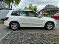 Mercedes-Benz GLK 200 CDI / Automatik/ Panorama/SHZ/PDC/ bijela - thumbnail 5