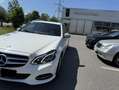 Mercedes-Benz E 220 T BlueTEC BlueEFFICIENCY Edition Aut. - thumbnail 1