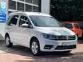 Volkswagen Caddy Comfortline 4Motion AHK Standh Service neu Weiß - thumbnail 18
