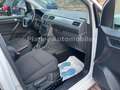 Volkswagen Caddy Comfortline 4Motion AHK Standh Service neu Weiß - thumbnail 8