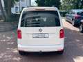 Volkswagen Caddy Comfortline 4Motion AHK Standh Service neu Weiß - thumbnail 5