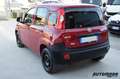 Fiat Panda VAN 1.3MJT AZIENDALE Rosso - thumbnail 4