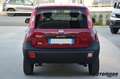 Fiat Panda VAN 1.3MJT AZIENDALE Rosso - thumbnail 5