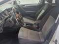 Volkswagen Golf Advance 1.6 TDI 85kW (115CV) DSG Bianco - thumbnail 7