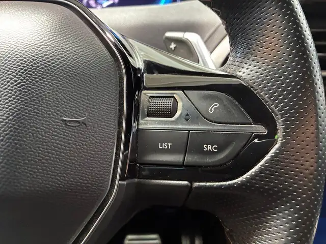 Peugeot 3008 view 13