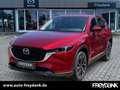Mazda CX-5 2.5L SKYACTIV G 194 AWD ADVANTAGE Rot - thumbnail 1