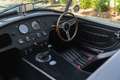Autres PILGRIM SUMO "AC COBRA REPLICA" Argent - thumbnail 13