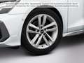 Audi A3 35 TDI S-Tronic S-Line, ACC, Ambien Weiß - thumbnail 10
