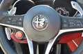 Alfa Romeo Stelvio 2.0 t Q4 280cv VELOCE TETTO PELLE ROSSA Grigio - thumbnail 13