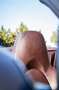 Porsche 911 997.1 Carrera 4S Cabriolet 3.8i Gris - thumbnail 50