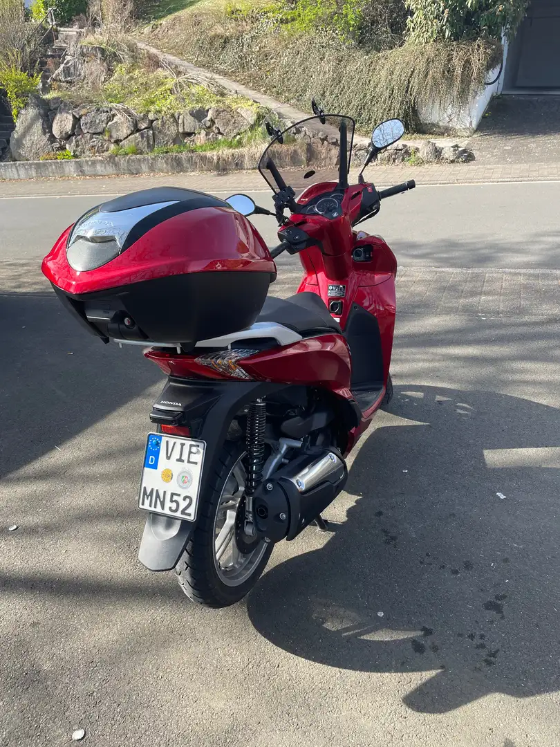 Honda SH 300 Rouge - 2