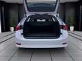 Skoda Octavia Combi 2.0 TDI STYLE NAVI PDC SITZHZG ACC Weiß - thumbnail 4