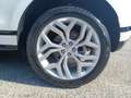 Land Rover Range Rover Evoque Range Rover Evoque 2.0d i4 mhev R-Dynamic SE awd Blanc - thumbnail 9