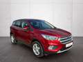 Ford Kuga 1.5 EcoBoost*Winterpanket*Tempomat* Rouge - thumbnail 3